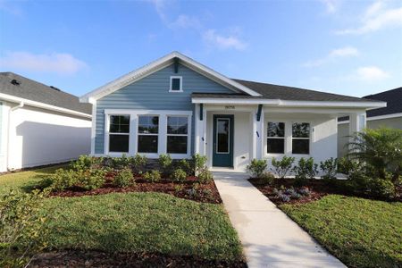 New construction Single-Family house 28776 Rambutan Dr, Wesley Chapel, FL 33543 The Redwood- photo 0