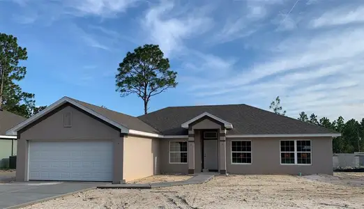 New construction Single-Family house 2172 W Landmark Dr, Citrus Springs, FL 34434 plan 1860 - image