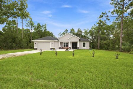 New construction Single-Family house 15450 Cliff Swallow Rd, Weeki Wachee, FL 34614 - image