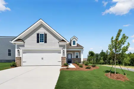 New construction Single-Family house 374 Waxhaw Village Rd, Lancaster, SC 29720 plan Blush II - image