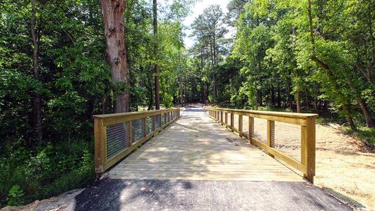 New construction Townhouse house 305 Silver Moon Dr, Unit 74, Loganville, GA 30052 Salisbury- photo 12 12