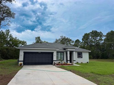 New construction Single-Family house 6030 Sw 145Th St Rd, Ocala, FL 34473 - image