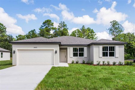 New construction Single-Family house 2823 Old New York Avenue, Deland, FL 32720 - photo 0