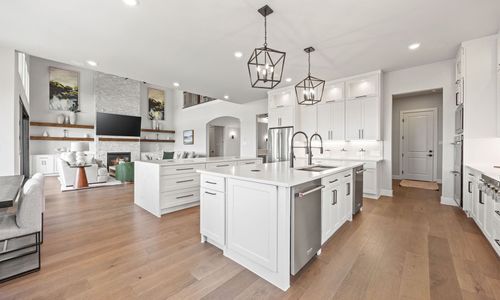 New construction Single-Family house 5490 Fm1377, Princeton, TX 75407 plan Rushmore - image 12