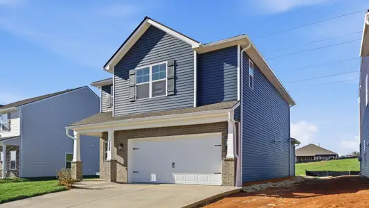 New construction Single-Family house 232 Chimney View Lp, Blountville, TN 37617 plan Darwin - image
