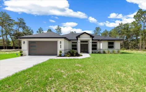 New construction Single-Family house 4438 Sw 179 Pl, Ocala, FL 34473 - image