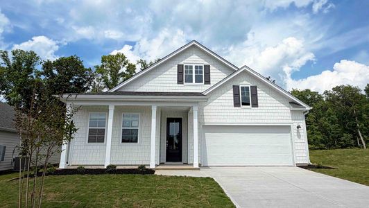 New construction Single-Family house 276 Livingston Woods Dr, Irmo, SC 29063 plan Darby - image