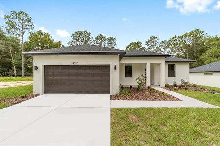 New construction Single-Family house 4380 Sw 159Th Ct, Ocala, FL 34481 - image