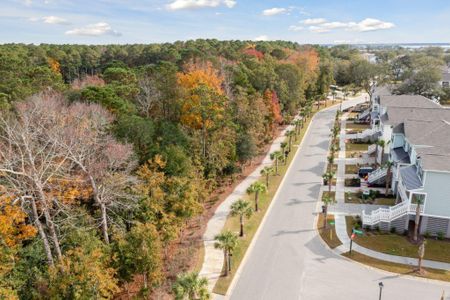 New construction Single-Family house 1627 Siloh Dr, Mount Pleasant, SC 29466 Kiawah- photo 66 66