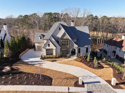 New construction Single-Family house 3116 Balley Forrest Dr, Milton, GA 30004 - image