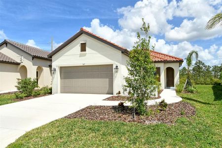 New construction Single-Family house 309 Potenza Lp, Nokomis, FL 34275 - image