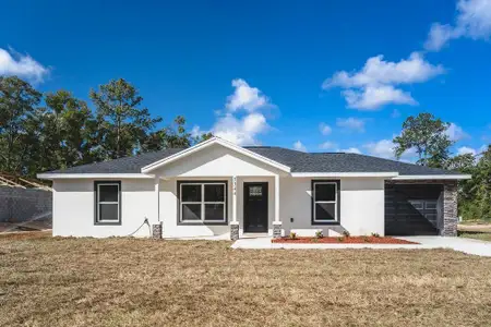 New construction Single-Family house 16919 Sw 27Th Ave, Ocala, FL 34473 - image