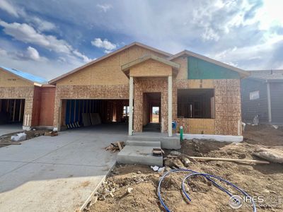 New construction Single-Family house 3125 Bent Grass Ln, Wellington, CO 80549 plan Camden - image 12