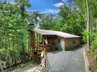 New construction Single-Family house 55 Skyline Dr, Blue Ridge, GA 30513 - image