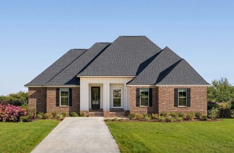 New construction Single-Family house 28 N Saint Claire Ln, Freeport, FL 32439 plan Kensington III G - image