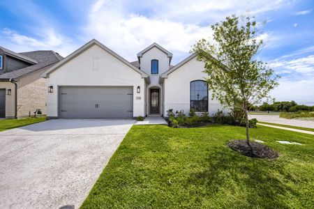 New construction Single-Family house 11300 Cider St, Fort Worth, TX 76052 plan 1530 - image