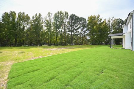 New construction Single-Family house 196 Abingdon Farms Dr, Selma, NC 27576 null- photo 32 32