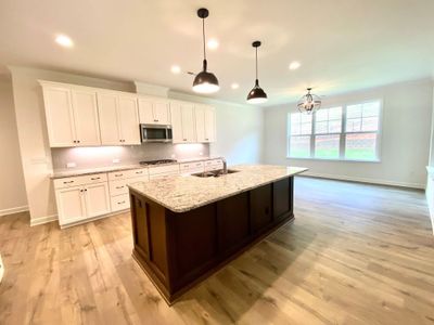 New construction Single-Family house 475 Lucky Dr Nw, Concord, NC 28027 null- photo 17 17