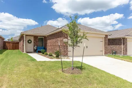 New construction Single-Family house 14145 Inglebert St, Pilot Point, TX 76258 plan Oakridge - image