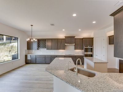 New construction Single-Family house 72 Monarca Blvd, Boerne, TX 78006 Trento- photo 9 9