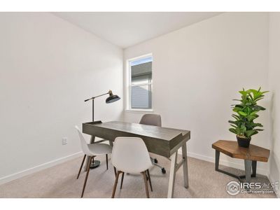 New construction Single-Family house 3425 Green Lake Dr Ft, Fort Collins, CO 80524 - image 6