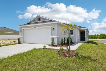 New construction Single-Family house 20404 Lavender Bloom Lp, Mount Dora, FL 32757 - image