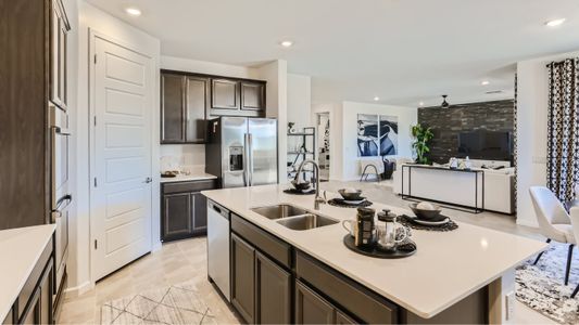 Santa Rita Ranch: Santa Rita Ranch III 8