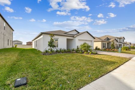 New construction Single-Family house 12193 Hilltop Farms Dr, Dade City, FL 33525 Sentinel- photo 132 132