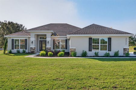 New construction Single-Family house 37298 Hidden View Cir, Dade City, FL 33523 plan 2330 - image