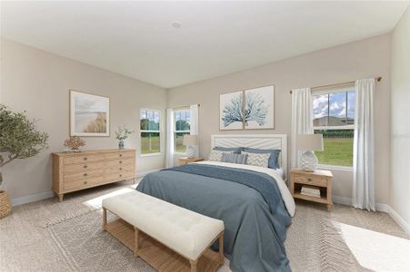 New construction Single-Family house 10073 Meadowrun Dr, Fish Hawk, FL 33547 plan Key West II - image 6