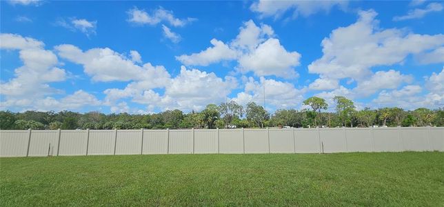 New construction Single-Family house 3018 Rock Sound St, Bradenton, FL 34208 Elston- photo 22 22