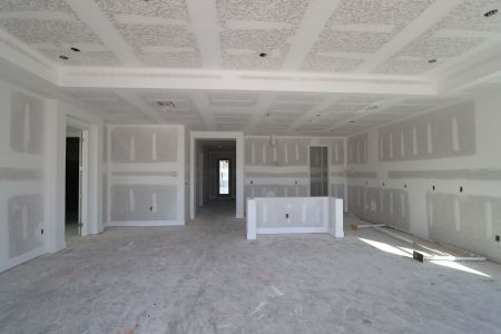 New construction Single-Family house 20264 Oriana Loop, Land O' Lakes, FL 34638 Santa Monica- photo 87 87