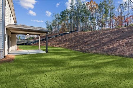 New construction Single-Family house 3539 Dockside Shores Drive, Gainesville, GA 30506 - photo 30 30