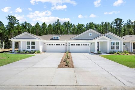 New construction Single-Family house 480 Walleye Blvd, Bluffton, SC 29909 plan Danbury - image