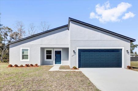 New construction Single-Family house 13594 Sw 40 Cir, Ocala, FL 34473 null- photo 0