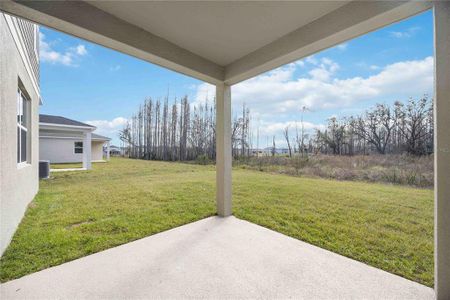 New construction Single-Family house 37488 Williamette Way, Zephyrhills, FL 33540 null- photo 23 23