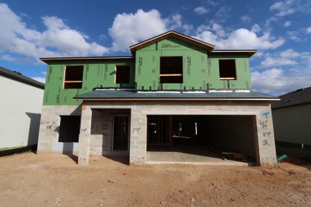 New construction Single-Family house 12294 Hilltop Farms Dr, Dade City, FL 33525 Malibu- photo 23 23