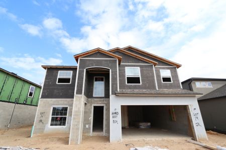 New construction Single-Family house 12134 Hilltop Farms Dr, Dade City, FL 33525 Malibu- photo 77 77