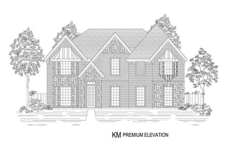 New construction Single-Family house 12515 Dove Chase Ln, Frisco, TX 75035 null- photo 14 14