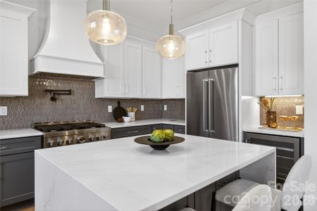 New construction Single-Family house 16311 Riverpointe Dr, Charlotte, NC 28278 - image 17