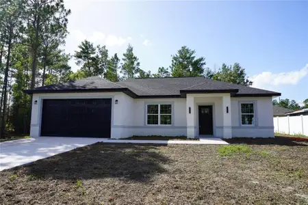New construction Single-Family house 16 Hemlock Trl, Ocala, FL 34472 - image