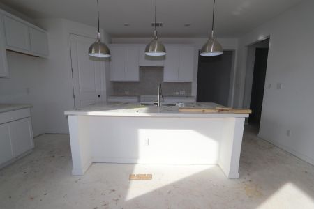 New construction Single-Family house 6904 Quiet Stream Wy, Buda, TX 78610 Auburn- photo 10 10