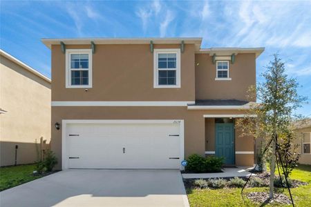 New construction Single-Family house 2634 Angel Falls Dr, Davenport, FL 33837 null- photo 0