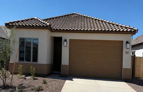 New construction Single-Family house 25629 W Trumbull Rd, Buckeye, AZ 85326 plan Hummingbird - image