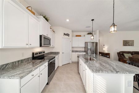 New construction Single-Family house 6053 Sw 93Rd Lp, Ocala, FL 34476 - image 11