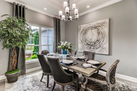 New construction Single-Family house 14224 Lons Pl, Jacksonville, FL 32226 plan Belmar - image 14