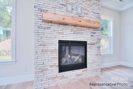 New construction Single-Family house 332 Triple Ponds Ct, Unit 22, Clover, SC 29710 - image 13