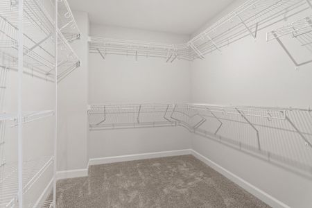 New construction Single-Family house 104 Black Walnut Dr, Garner, NC 27529 Yates- photo 62 62