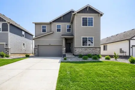 New construction Single-Family house 659 Noola St, Windsor, CO 80550 plan Denali - image