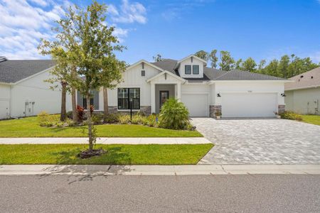New construction Single-Family house 7520 Ashbrooke Pine Lp, Odessa, FL 33556 - image